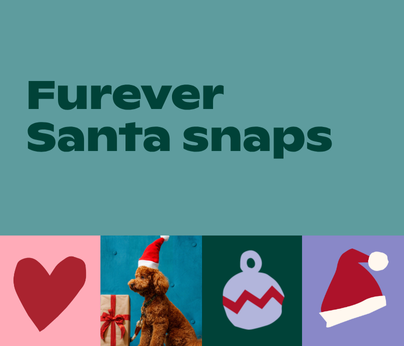 Webtile 404 x 346 (3)